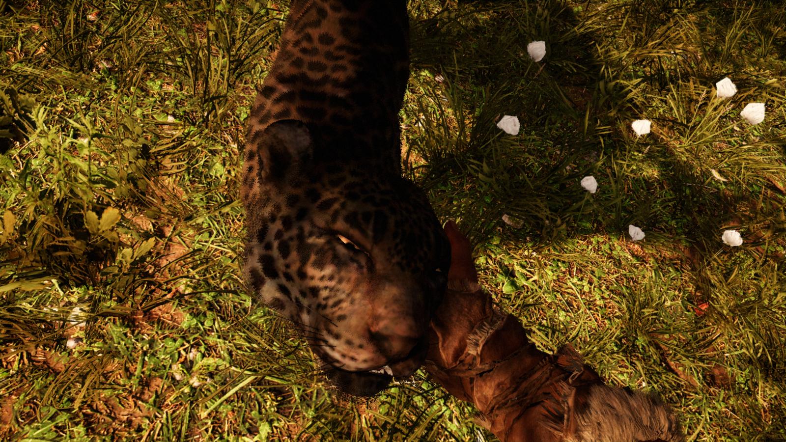 Far Cry Primal Как приручить редкого Черного Ягуара.