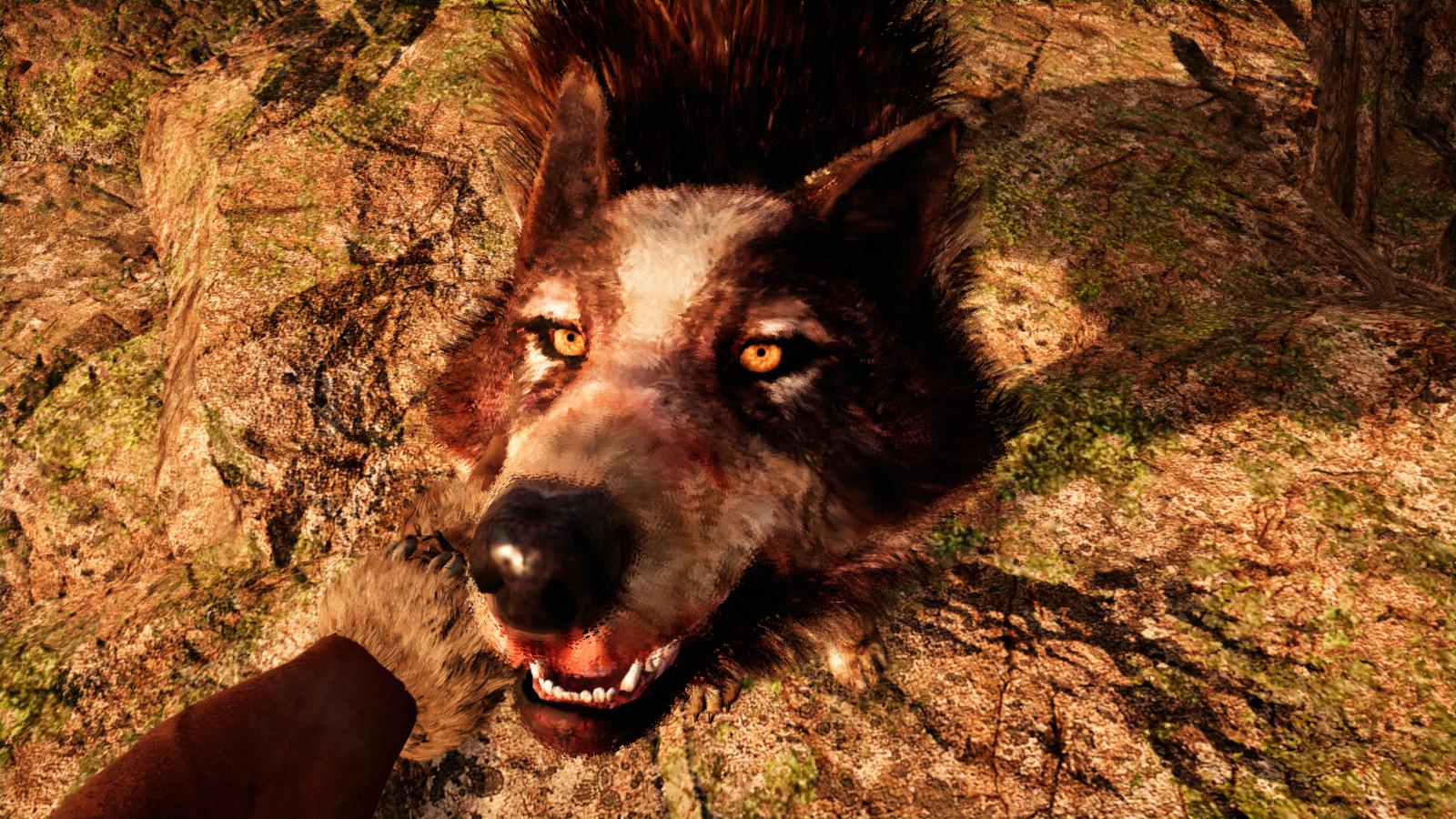 Far Cry Primal Как приручить редкого Полосатого Волка.