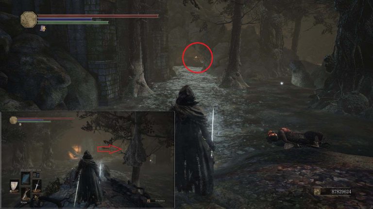 Dark souls 3 заклинание невидимое тело